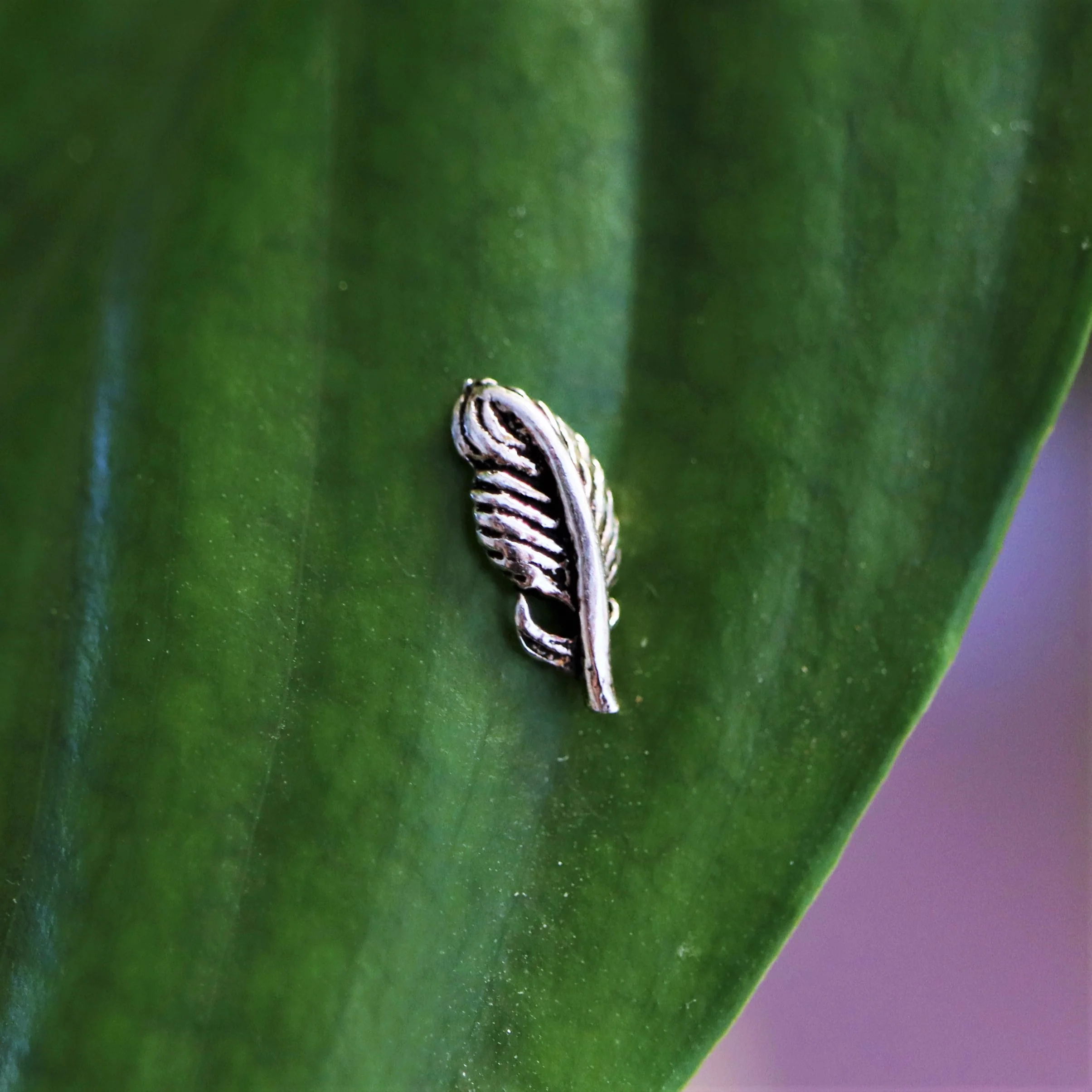 925 sterling zilveren oorsteker met veer - Image 2