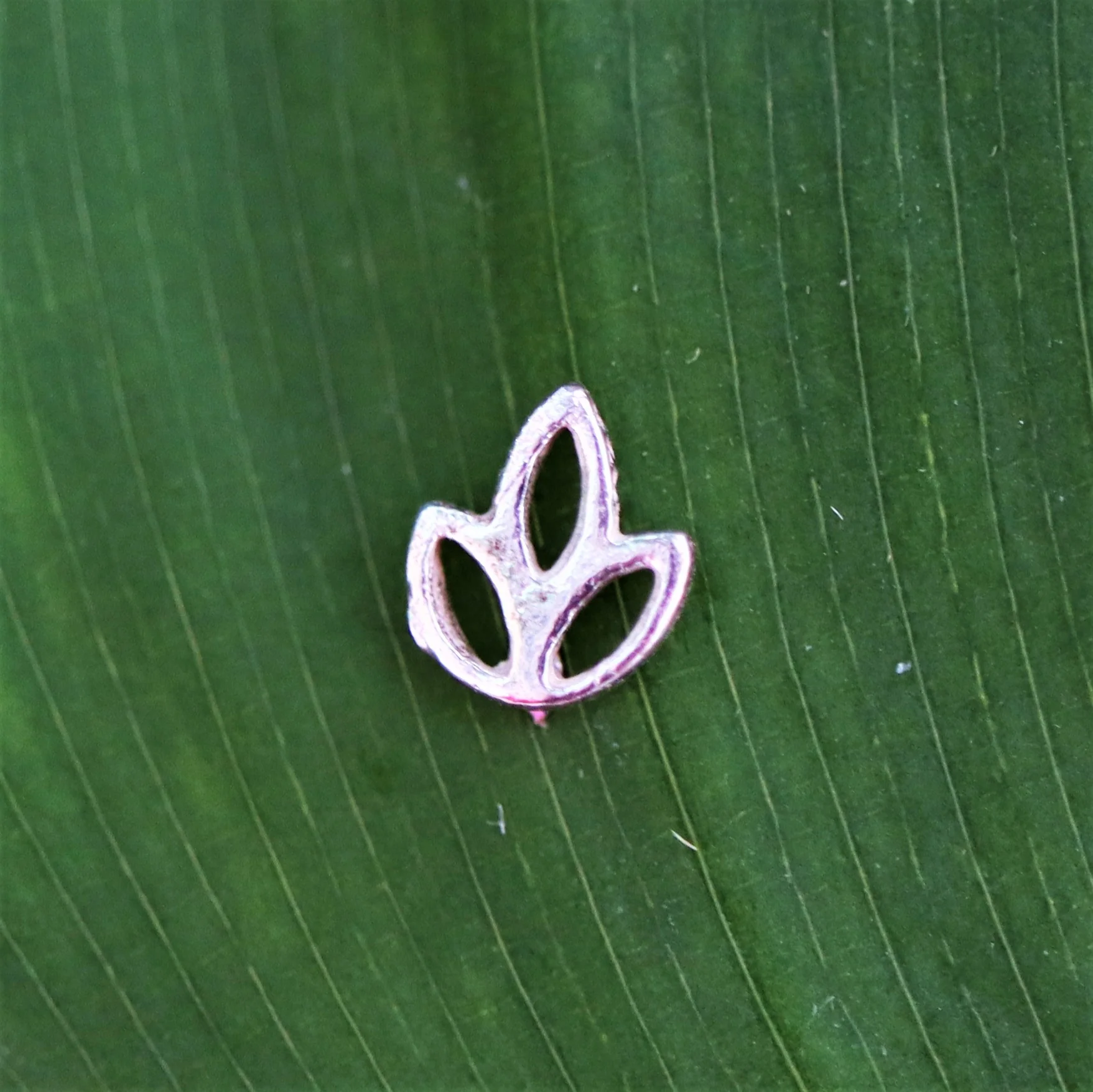 925 sterling zilveren oorsteker met lotus - Image 2